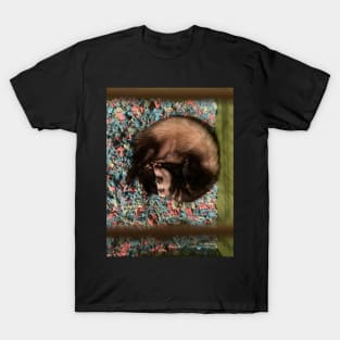 Ferret T-Shirt